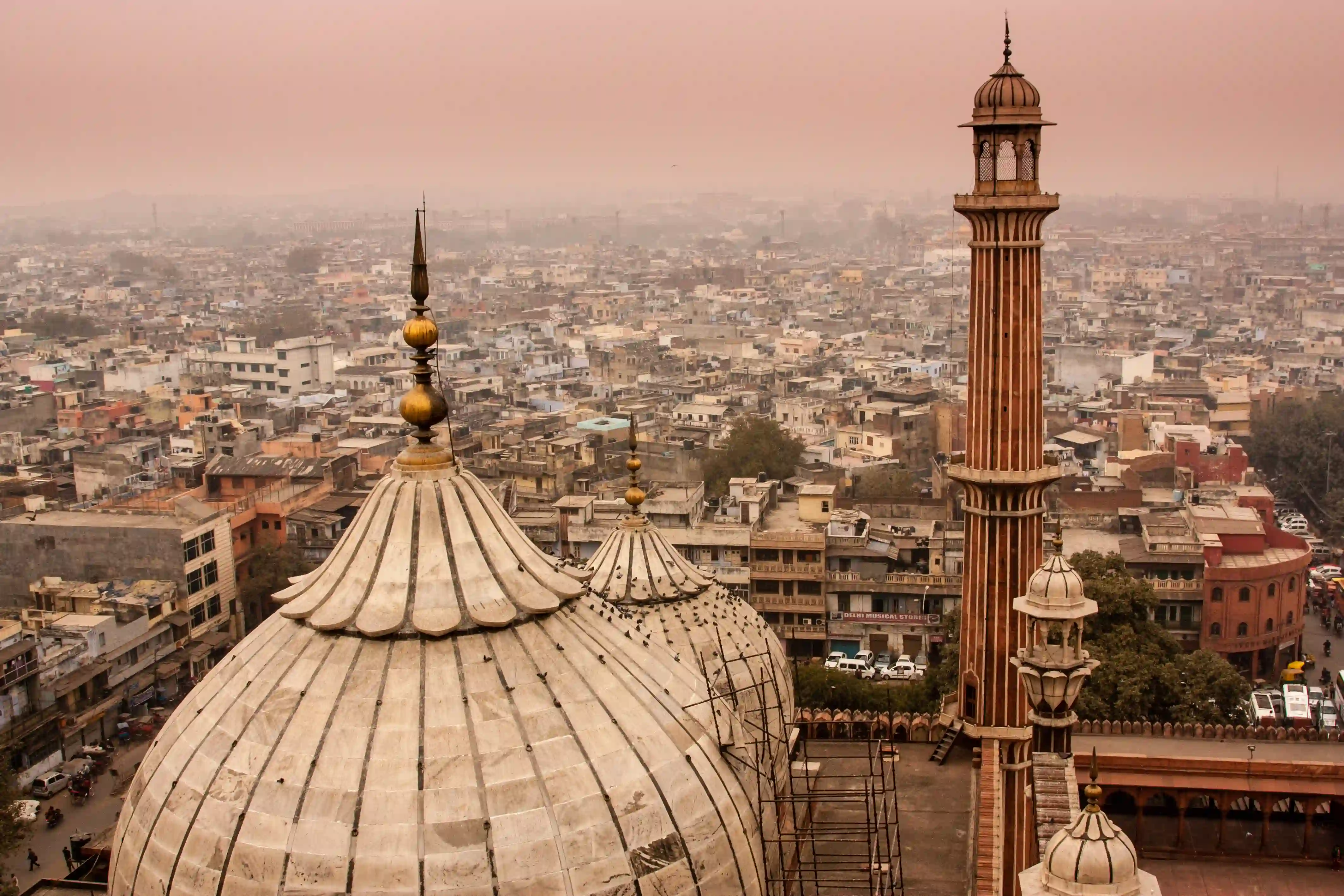Half Day Delhi Highlight Tour With Guide