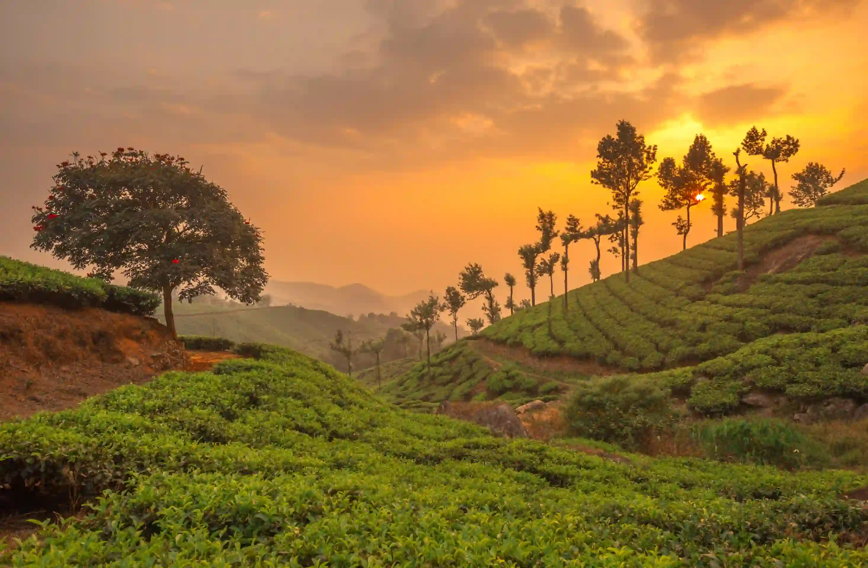 Magical Kerala Tour Package 9 Days 8 Nights