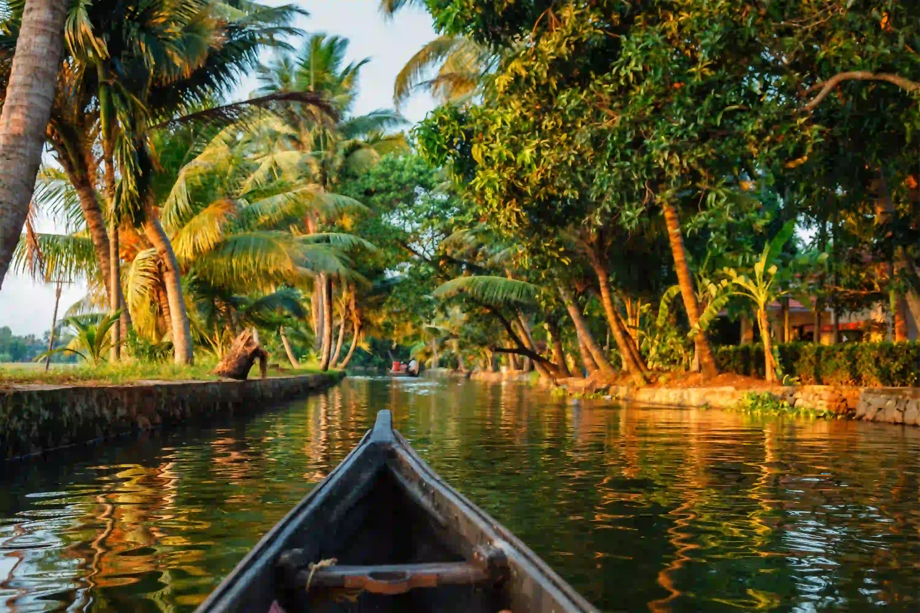 Captivating beauty of Kerala 6-day tour