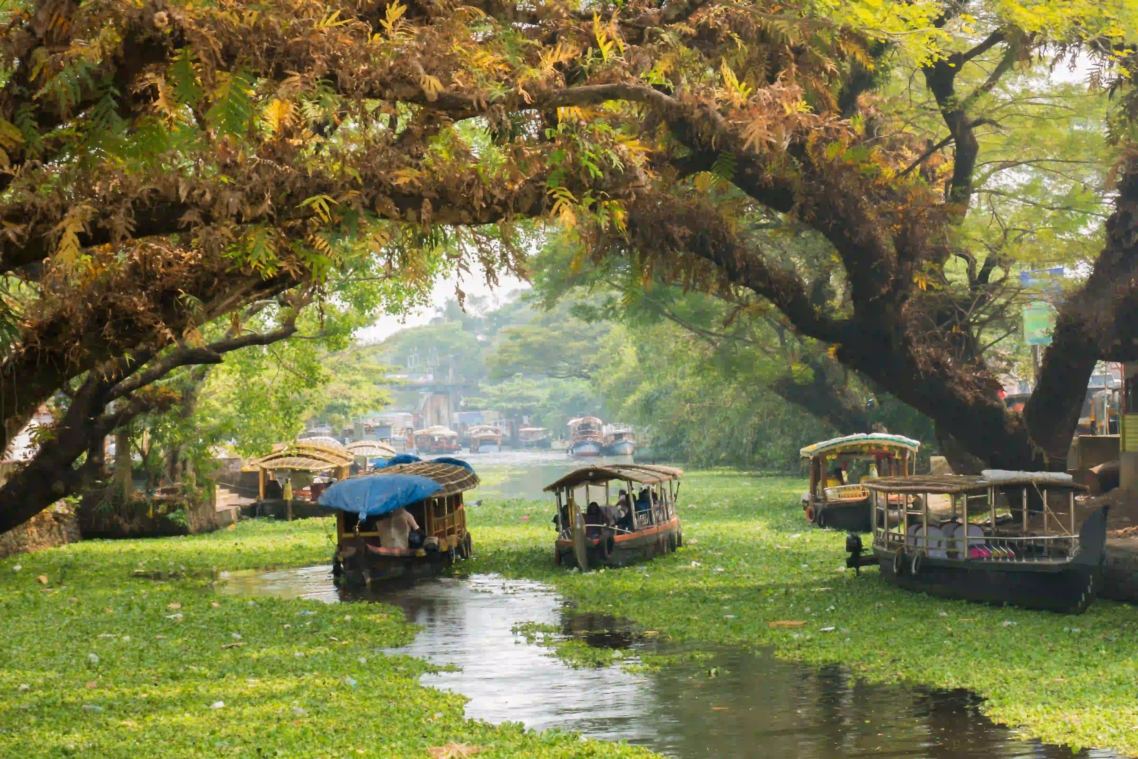 Kerala Honeymoon Tour 6 Days 5 Nights