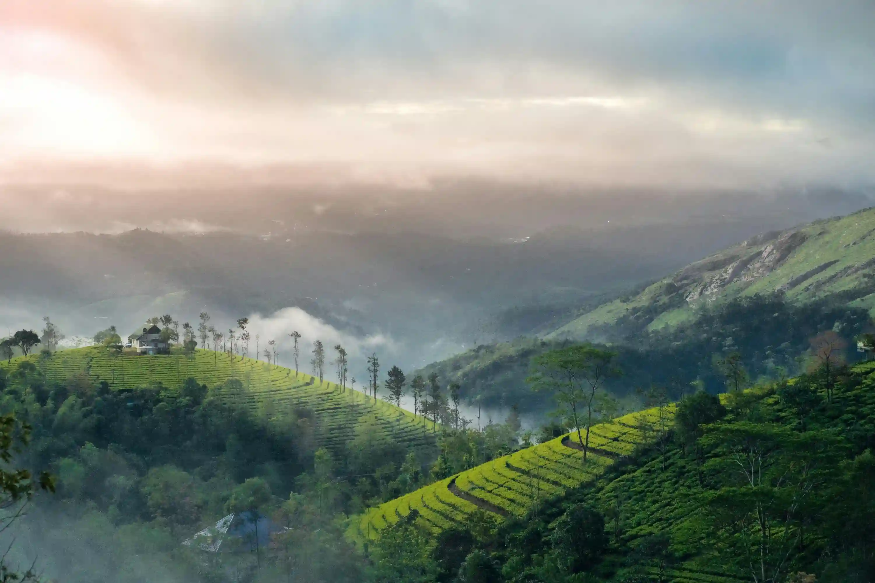 Captivating beauty of Kerala 6-day tour