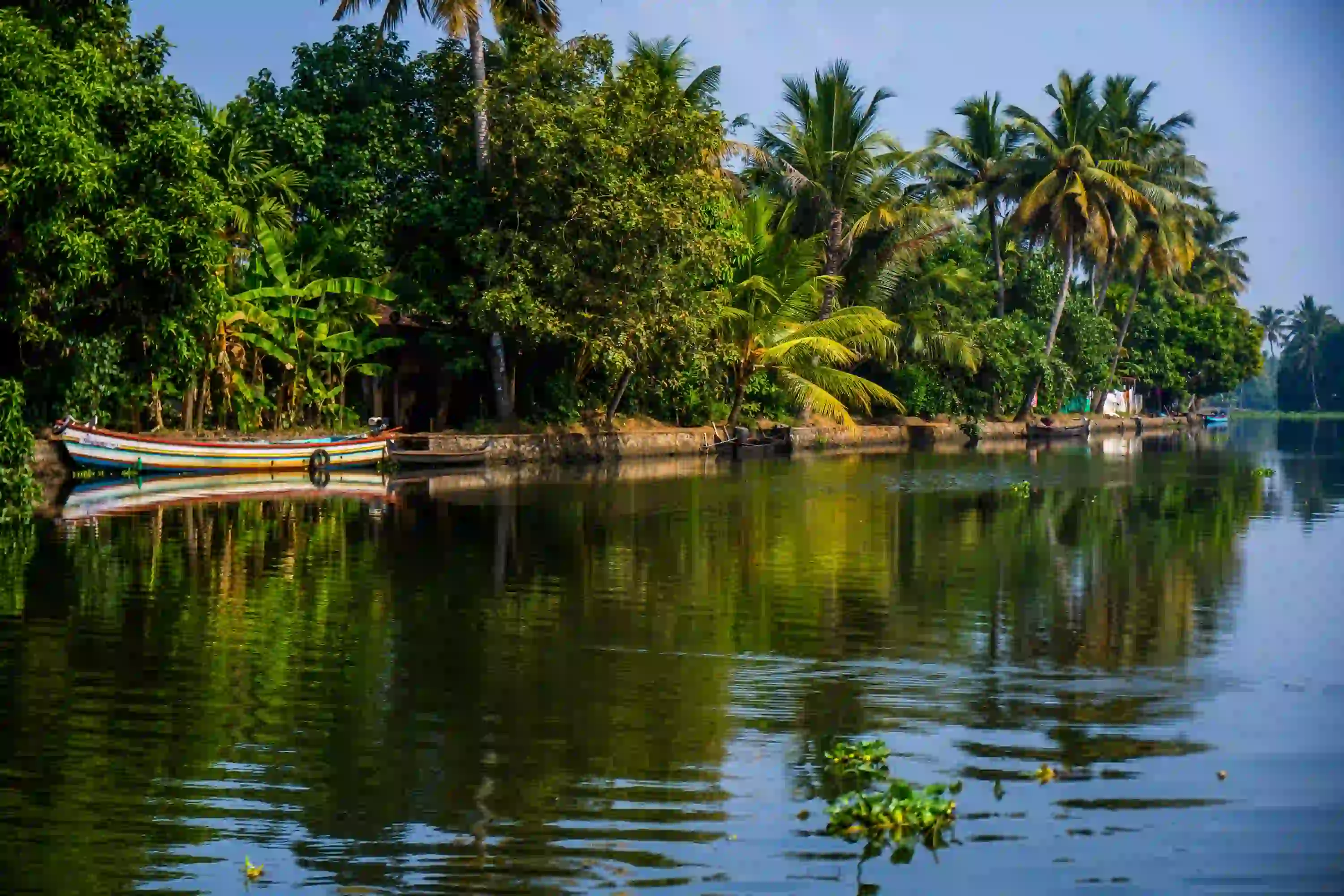 Captivating beauty of Kerala 6-day tour